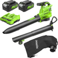 aspirateur BL48L421-01, 48V, 24V, 45L, sans balais, sans fil, Greenworks, 386km/h, 14.73m3/min, Sac Mulching 45L, 2 Batteries 4Ah